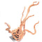 Large Underwater Treasures Aquarium Wood