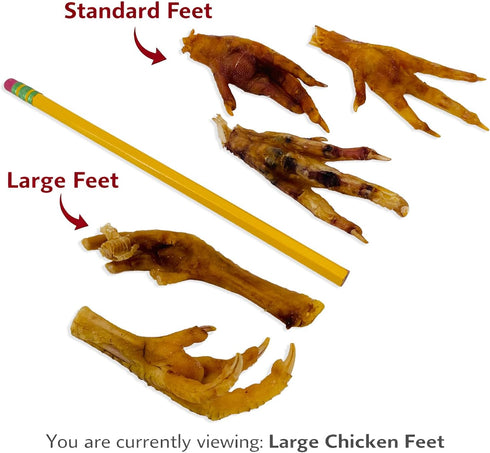 25 Count ValueBull Chicken Feet for Dogs, Large, - All Natural Dog Chew, Hip and Joint Chew, Single Ingredient Dog