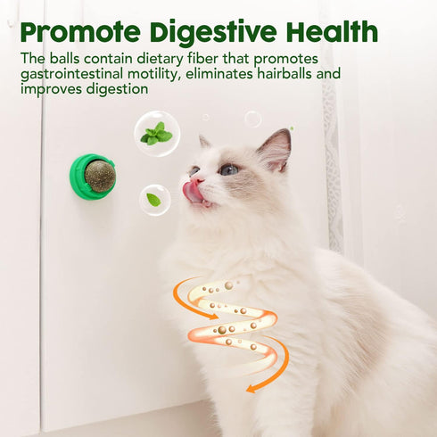 Potaroma Catnip Toys Balls, 4 Pcs Extra Cat Energy Ball, Edible Kitten Silvervine Toys for Healthy Teeth