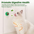 Potaroma Catnip Toys Balls, 4 Pcs Extra Cat Energy Ball, Edible Kitten Silvervine Toys for Healthy Teeth