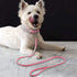Cute Dazzling Sparkling Soft Suede Leather Bling Rhinestone Pet Collar and Leash Combo Set (XS, Pink)