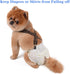 TESSVEYA Dog Diaper Suspenders for Male or Female - Leopard Print & Light Green, S
