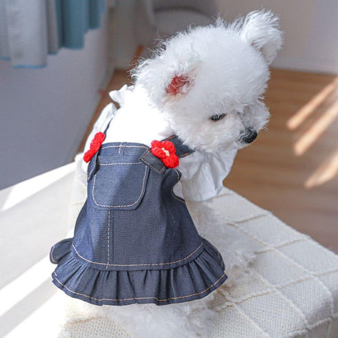 Pet Dress - Sweet Flower Small Dog Skirt, Tutu Clothing for Puppies and Cats for Spring Summer (Blue, M)