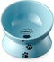 Y YHY Elevated Cat Food Bowl, Ceramic Raised Bowl with Tilt Angle for Cat's Spine Protection, Anti Vomiting Dish (Lake