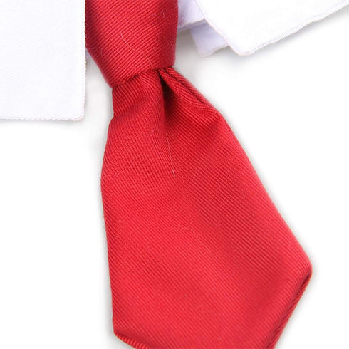 ZTON Bowtie for Little Puppy - Handcrafted Adjustable Formal Collar Neck Tie for Dogs & Cats (L, Red)