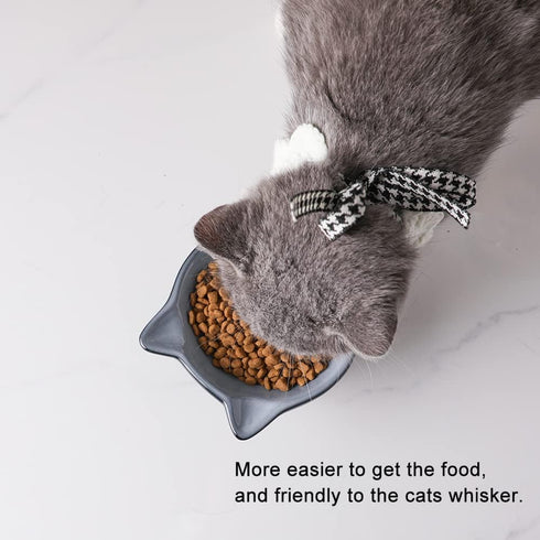 Nihow Elevated Cat/Dog Bowls: 5 Inch Ceramic Raised Food & Water Bowl Set, Elegant Gray for Protecting Pet's Spine (4.5