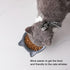 Nihow Elevated Cat/Dog Bowls: 5 Inch Ceramic Raised Food & Water Bowl Set, Elegant Gray for Protecting Pet's Spine (4.5