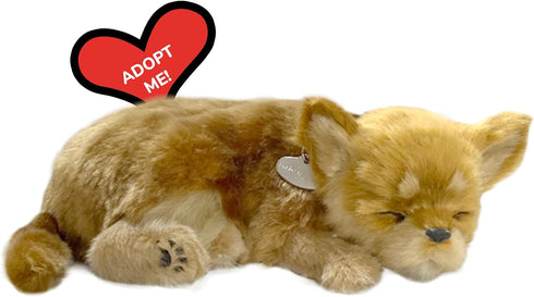 Original Petzzz Chihuahua Dog Toys for Kids and Elderly, Realistic Battery-Operated Stuffed Animal
