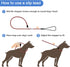 Slip Lead Dog Leash, 4FT/6FT Durable Nylon No Pull Training Leash for Small Medium Large Dogs (Black)