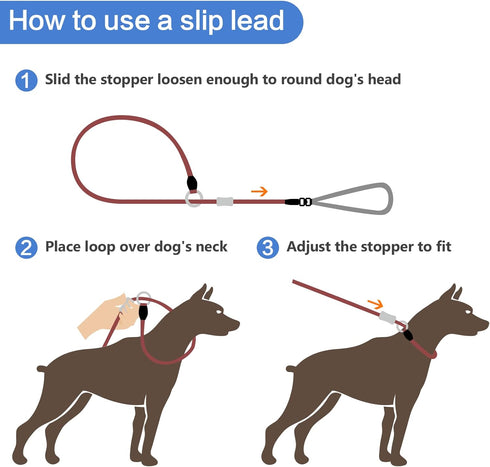 Strong Slip Lead Dog Leash, 4FT / 6FT Durable Nylon No Pull Training Leash for Small Medium Large Dogs