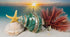 1PC Shell(3.1Inch ~4Inch),Used (1PC) Natural Large Hermit Crab Shells Turbo Shells Jade Green Banded Turbo as Hermit
