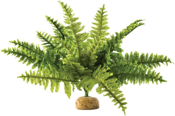 Exo Terra Boston Fern Terrarium Plant, Medium, for Reptiles and Amphibians