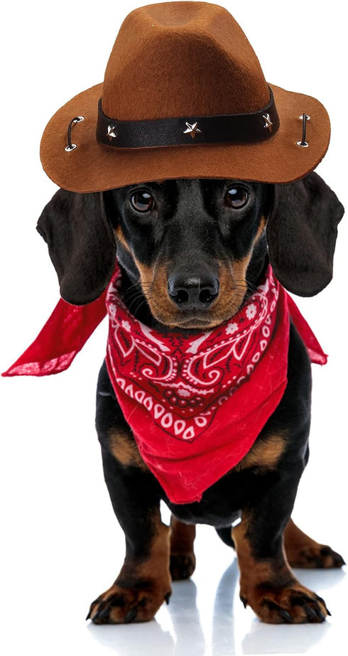 Yewong Pet Cowboy Costume Accessories, Dog Cat Size Cowboy Hat & Bandana Scarf Set of 2 for Puppy Kitten Party (Coffee)