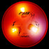 MVP Disc Golf Flat LED Tri-lite Disc Golf Lights (Pack of 10)
