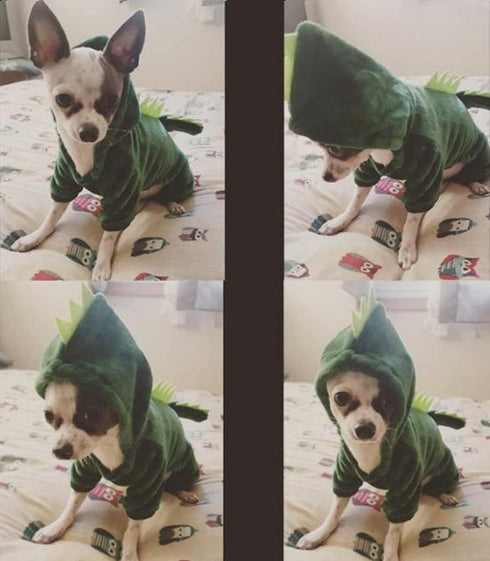 Dogs Clothes Small Pet Costume Halloween Dinosaur Costume - Funny Apparel for Puppies (XS)