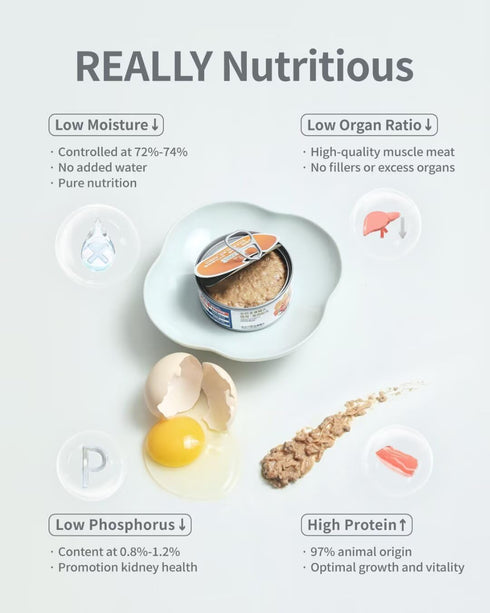 97% 3.5 Cans(Pack 6) Beef Recipe Canned Cat Food, Animal Ingredients Wet Cat Food, Grain-Free & BPA-Free Cat Wet Food