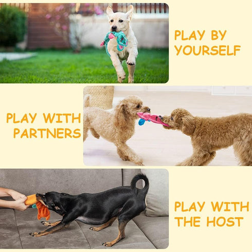 AWOOF No Stuffing Dog Toy Set, Crinkle Squeaky Chew Toys for Small Medium Large Breed Puppies, Durable Birthday