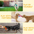 AWOOF No Stuffing Dog Toy Set, Crinkle Squeaky Chew Toys for Small Medium Large Breed Puppies, Durable Birthday