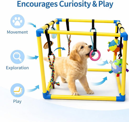 Puppy Play Gym with Hanging Toys Interactive Dog Enrichment Toy Frame for Indoor Puppy Training, Mental Stimulation