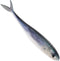LALAFINA Artificial Tuna Fishing Lure Saltwater Sinking Soft Bait Lifelike Bionic Fishing