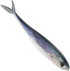 LALAFINA Artificial Tuna Fishing Lure Saltwater Sinking Soft Bait Lifelike Bionic Fishing