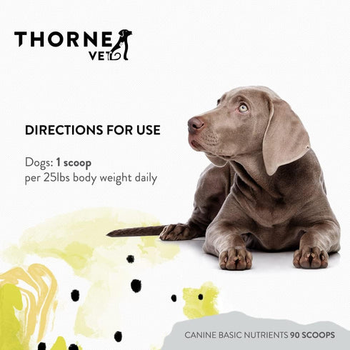 ThorneVet Canine Basic Nutrients Powder, Multivitamin Support for Dogs, 90 Scoops