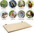 Large Wood Perch Platform Stand Shelf for Birds - Budgie, Parakeet, Cockatiel, Conure, Cockatoo, Macaw