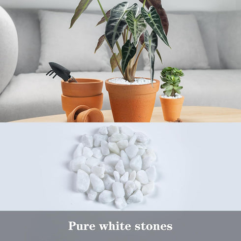 5lb Polished River Rocks, Decorative Pebbles for Fish Tank, Garden, and Home Decor, Snow White