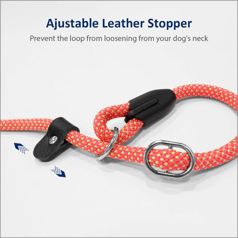 WePet Dog Training Slip Leash, 6 ft, 1/2 inch, Fuchsia/Green, Durable Reflective Lead, Comfortable Handle, Heavy Duty