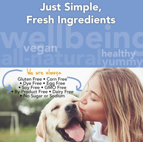 Marcy's Pet Kitchen - All Natural Crunchy Pumpkin Biscuit Dog Treats - Vegan, Gluten Free, Healthy Treats