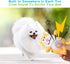 LEGEND SANDY Squeaky Dog Toys for Puppy, Small Medium Dogs, Stuffed Plush Pet Chew Toy Set, 12 Pack