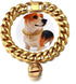 18K Gold Cat Dog Collar, 0.6inch 15mm Wide Stainless Steel Kitten Choker with Bell, Dog Neck 12"-14"