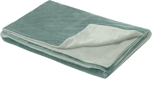 Furhaven Waterproof Throw Blanket for Dogs & Indoor Cats - Washable Luxe Velvet Blanket - Celadon Green, Large