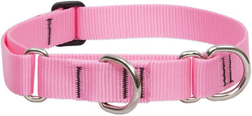 LupinePet Basics Martingale Collar | 1" Pink Collar for Large Dogs (19-27")