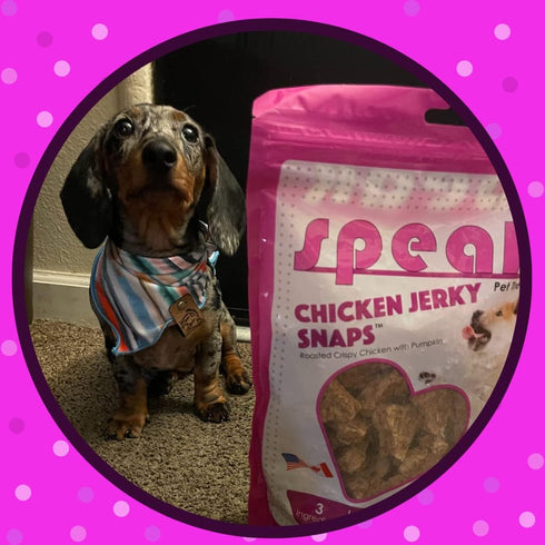 Chicken Jerky Snaps, Gluten and Grain Free, Low Calorie Training Treat Snacks, 14 Ounces