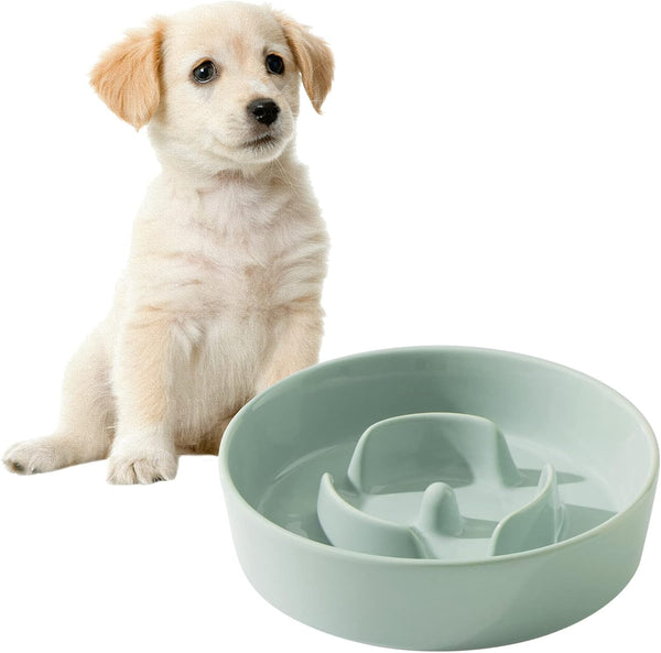 Ceramic Slow Feeder Dog Bowl - Light Green, 6inch, Slow Dog Food and Water Bowl, Prevents Bloat and Choking