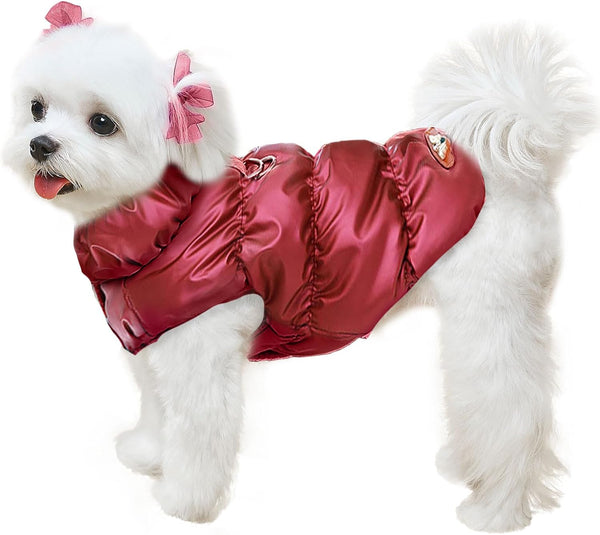 Winter Warm Dog Jacket for Small Medium Dogs, Cold Weather Coats with Harness, Waterproof Fleece Vest (Wine Red, S)