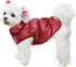 Winter Warm Dog Jacket for Small Medium Dogs, Cold Weather Coats with Harness, Waterproof Fleece Vest (Wine Red, S)