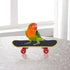 Wontee Bird Toys Mini Shopping Cart, Skateboard Ring Toy for Budgies and Parrots (3 Pack)