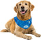 ALL FOR PAWS Cooling Neck Wraps for Dogs, Ice Dog Bandanas, Chill Out Blue Dog Collar, Neck Cooler for Dogs and Cats
