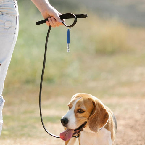 Mipcase Dog Whistle to Stop Barking, Adjustable Whistle for Dog Training