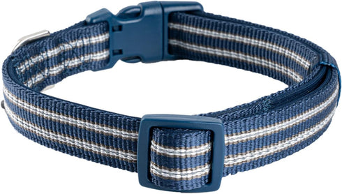 Reflective Nylon Dog Collar - Adjustable Blue Neoprene Padding for Small Dogs (Neck 9.8"-15")