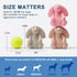 Pawdoer Squeaky Dog Toys for Medium Dogs, Soft Latex Bunny Squeaky Dog Ball, Cute Funny Squeak Rabbit Pet Toys