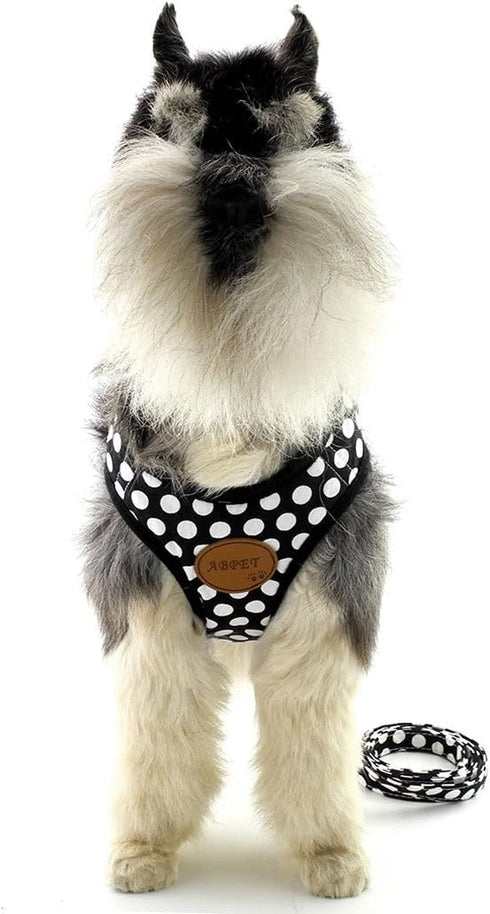 SMALLLEE_LUCKY_STORE Soft Mesh Nylon Vest Pet Cat & Dog Harness Leash Set, Black, S (Chest: 9.5"-13.5")