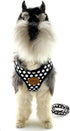 SMALLLEE_LUCKY_STORE Soft Mesh Nylon Vest Pet Cat & Dog Harness Leash Set, Black, S (Chest: 9.5"-13.5")