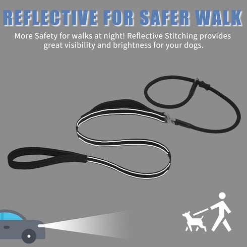 Slip Lead Dog Leash with Double Handle, Reflective Heavy Duty Nylon Slip Leash for Large Medium Small Dogs, 5FT Black