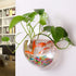 Wall Mounted Acrylic Fish Bowl, 7 Inch Clear Hanging Flower Pot Vase Decoration for Aquarium Plant Wall Decor