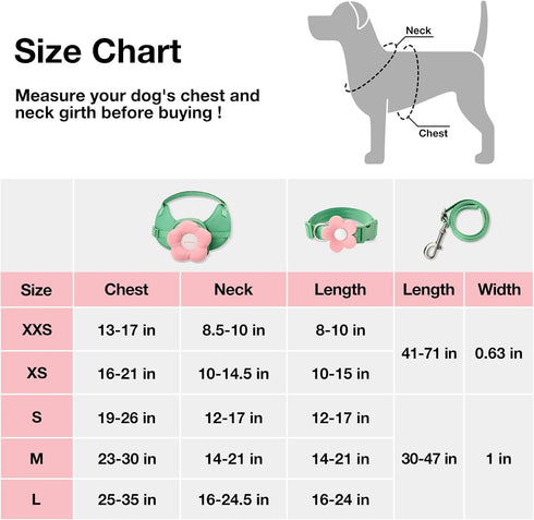 VETRESKA Flora Dog Harness, Leash and Collar Set | No Pull Vest Harness for Walking and Training, Adjustable, M