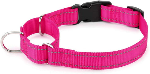 PLUTUS PET Reflective Martingale Collar, No Pull Dog Choker Collar with Quick Snap Buckle for Small Medium Large Dogs,
