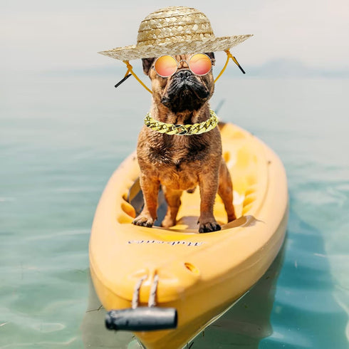 6PCS Pet Dog Cat Costume - Retro Sunglasses, Adjustable Gold Chain Collar & Straw Hat, Funny Accessories for Birthday